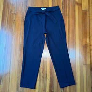 Zac & Rachel Women’s High Rise Slip On Waist Tie Navy Blue Skinny Pants Size 12